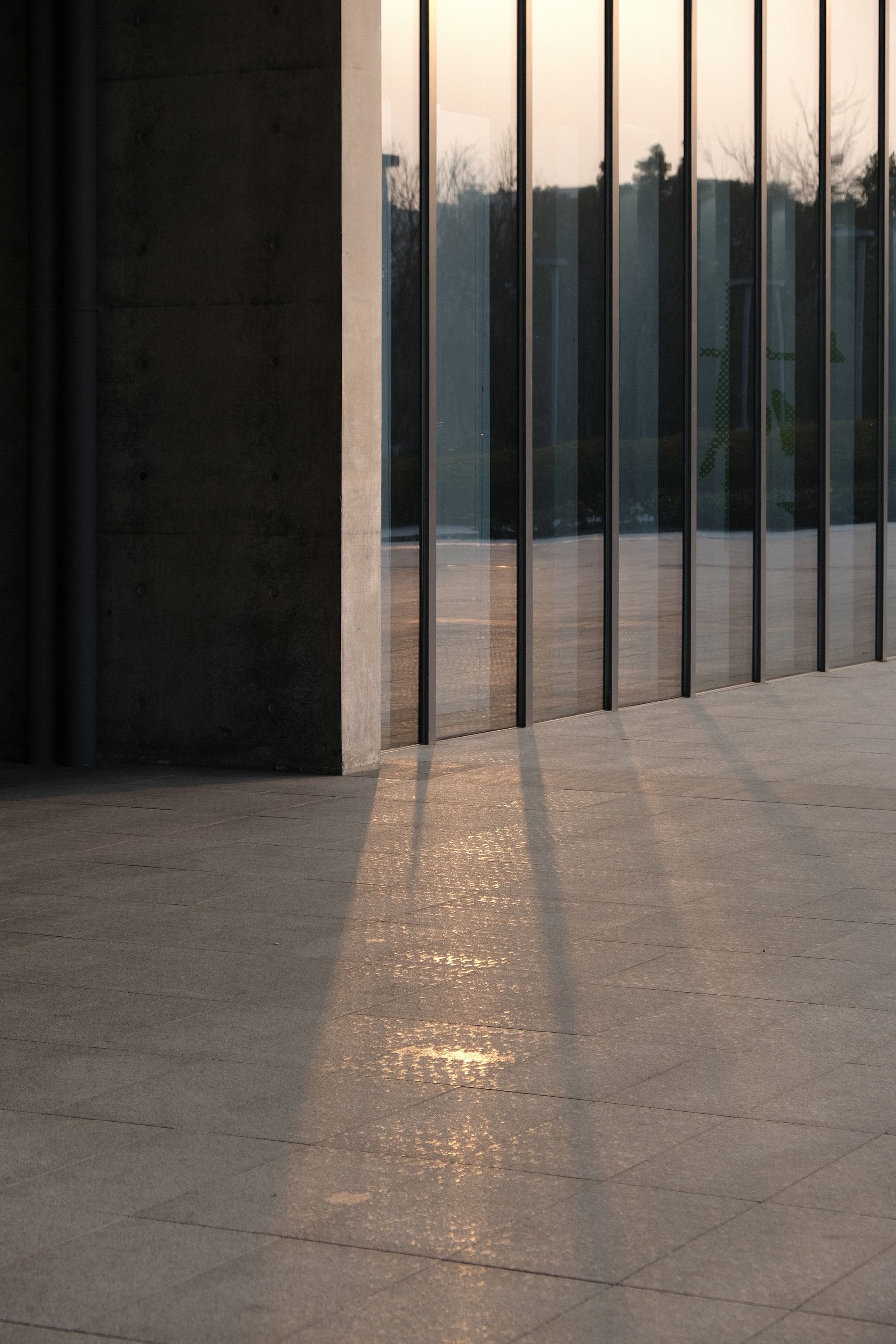 Moderne Glasfassade im warmen Abendlicht